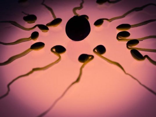 air-die-in-sperm-little-girl-halloween